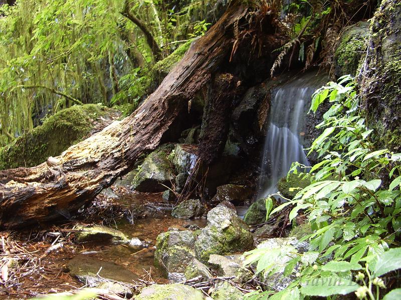 Waterfall near the track to Weeping Rock, Point Lookout IMGP1364.JPG